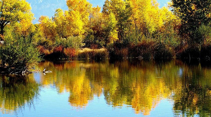 Rio Grande Nature Center State Park